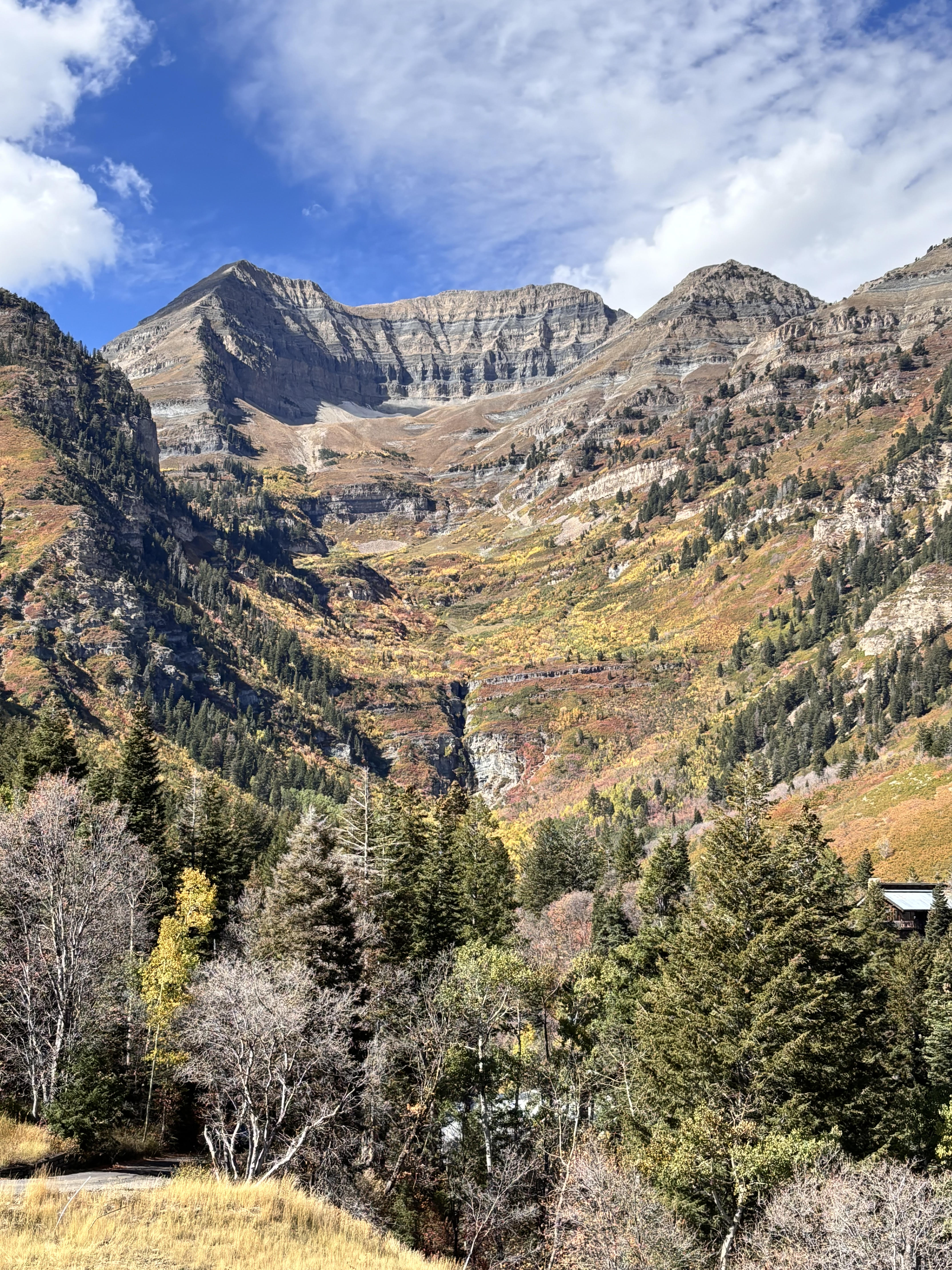 Mount Timpanogos in autumn color, viewed from Sundance